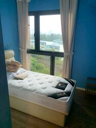 The Lakefront Residences (D22), Condominium #501595921